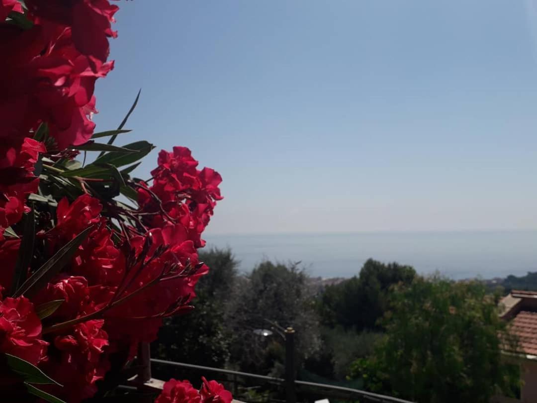 Bed and Breakfast Il Porto Di Benny Alassio Zewnętrze zdjęcie